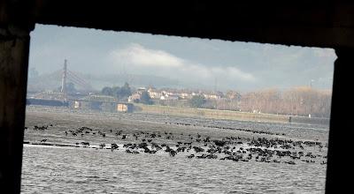 A LOS DOS LADOS DE LA MARISMA