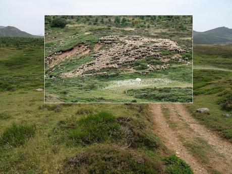 La Cueta-Queixo-Pico la Orbia-Peña Ladreras