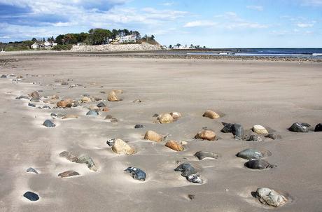 16 cosas mejor valoradas para hacer en Kennebunkport, ME 16 cosas mejor valoradas para hacer en Kennebunkport, ME