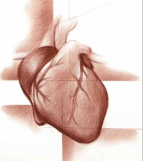 NUEVO EN MI CORAZÓN, PERO NO EN ESE.