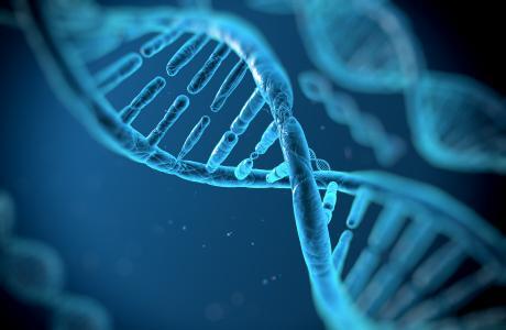 Curiosidades sobre el cuerpo humano