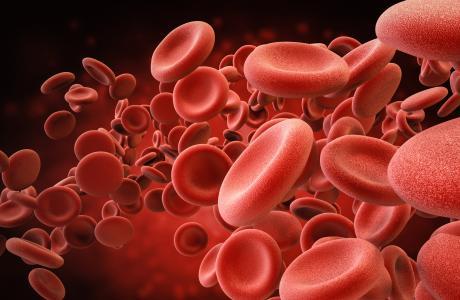 Curiosidades sobre el cuerpo humano