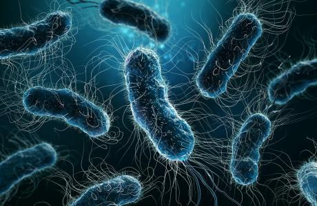 Curiosidades sobre el cuerpo humano