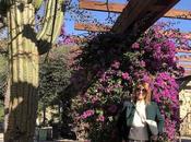 Jardines Mossèn Costa Llobera