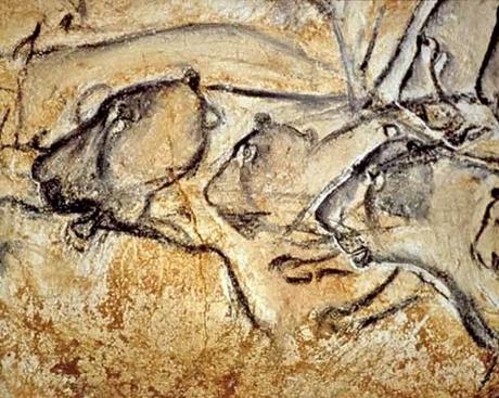 ANIMAL DE FONDO ANIMAL DE FONDO