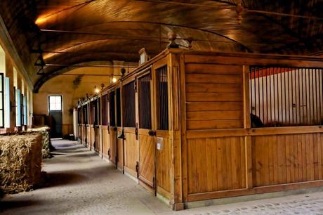 15 mejores cosas para hacer en Tarbes (Francia) Haras Nacional