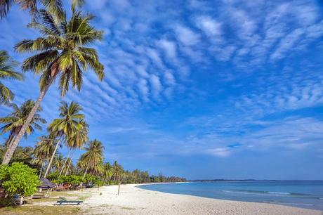 Playa de Trikora bordeada de palmeras