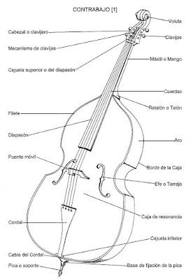 El Contrabajo
