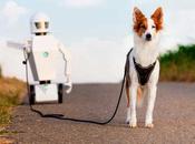 Reflexiones sobre ineptitud corrupción política: llamado acción