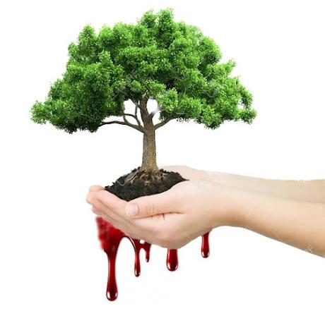 NOS CONSTRUIMOS ELEVÁNDONOS POR ENCIMA DE LO QUE NOS DUELE