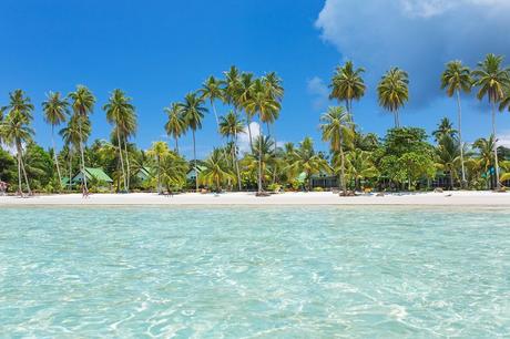 Playa bordeada de palmeras en Koh Kood