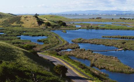 Parque Regional Coyote Hills