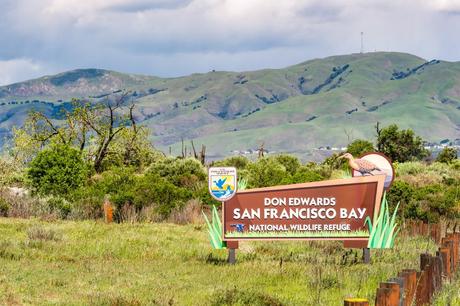Refugio Nacional de Vida Silvestre Don Edwards San Francisco Bay