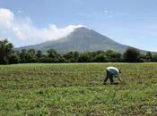 datos interesantes sobre Salvador Travel