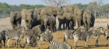 Parque Nacional Gorongosa