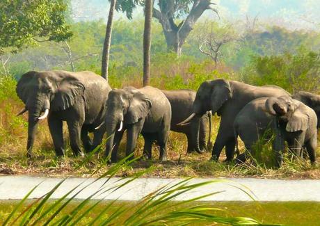 Parque Nacional Quirimbas