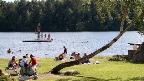 15 mejores cosas que hacer en Uppsala (Suecia) 15 mejores cosas que hacer en Uppsala (Suecia)