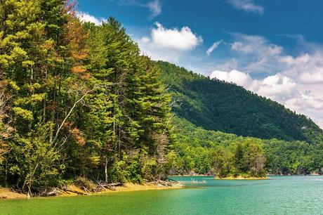 Lago Watauga, Bosque Nacional Cherokee