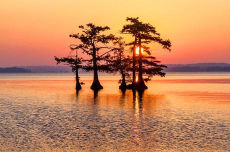 Lago Reelfoot al atardecer