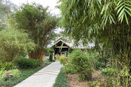 11 cosas mejor valoradas para hacer en Gainesville, Florida 11 cosas mejor valoradas para hacer en Gainesville, Florida