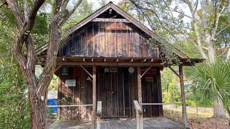 11 cosas mejor valoradas para hacer en Gainesville, Florida 11 cosas mejor valoradas para hacer en Gainesville, Florida