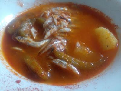 PROYECTO CANTERA (FUNDACIÓN EL PIMPI)