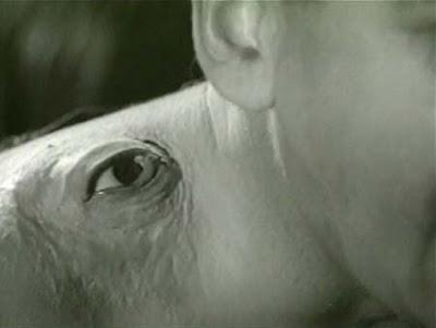 MANSTER, THE (SÒTÒ NO SATSUJINKI) (EL MONSTRUO DE DOS CABEZAS) (USA, Japón; 1959) Ciencia Ficción, Fantástico, Terror