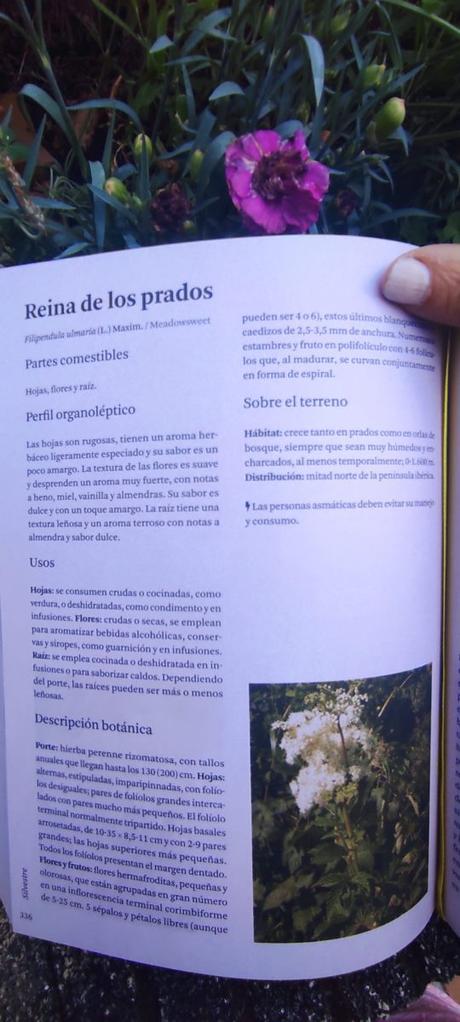 la gastronomía de las plantas