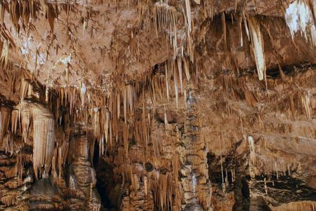 Viajar a Eslovenia, un diamante en bruto en Europa Viajar a Eslovenia, un diamante en bruto en Europa