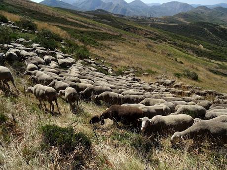 La Cueta-Pena Salgada-Lagüezos