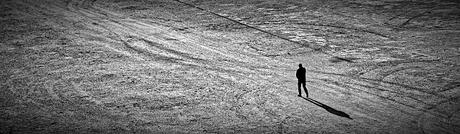 Elogio de la fragilidad Elogio de la fragilidad