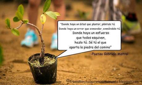La frase de hoy es de la famosa Gabriela Mistral poetisa, diplomática, profesora y pedagoga chilena. Aunque no se declaró abiertamente feminista, siempre luchó por la educación y los derechos de las mujeres. Este es uno de los mejores consejos que nos dejo antes de partir en Enero 10 del 1957.