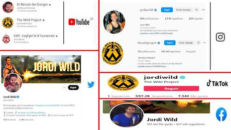 12 CURIOSIDADES SOBRE JORDI WILD