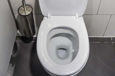 Un Inodoro que detecta enfermedades pronto será realidad Un Inodoro que detecta enfermedades pronto será realidad