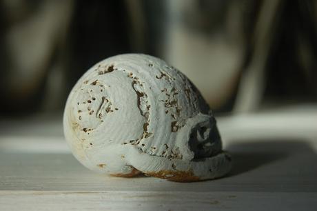 La simplicidad como alternativa