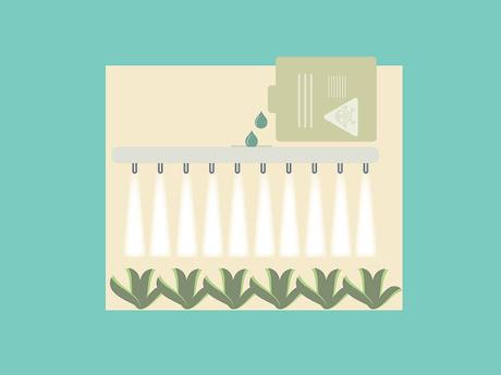 FRUTAS, VERDURAS Y PLAGUICIDAS