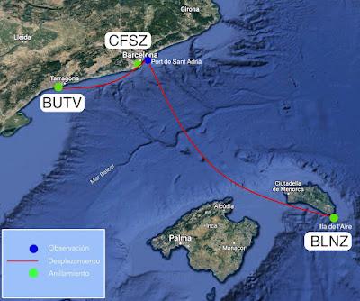Gaviotas de Audouin  CFSZ, BLNZ, y BUTV