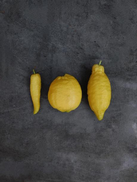 Si la vida te da estos limones…