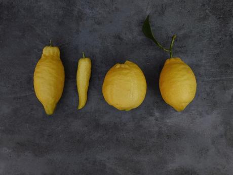 Si la vida te da estos limones…