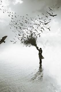 5.400 - SIGUE BUSCANDO... 5.400 - SIGUE BUSCANDO...