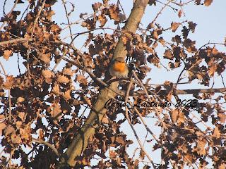 Se asoma la primavera.