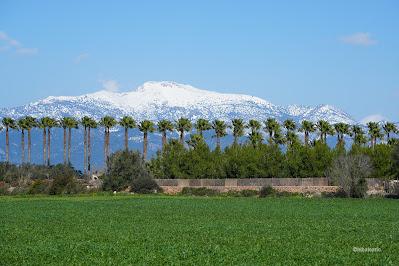 Pino se va con Ferrovial a Países Bajos… y Valencia ya huele a pólvora. Pino se va con Ferrovial a Países Bajos… y Valencia ya huele a pólvora.