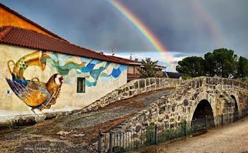 Los Servicios Sociales, una respuesta a la despoblación del medio rural.