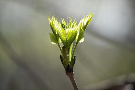 Mientras estamos muertos - José Ovejero Mientras estamos muertos - José Ovejero