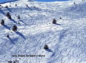 Consejos para esquiar niños