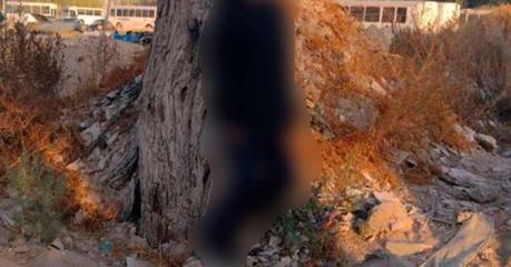 Encuentran cuerpo de mujer joven suspendido en un ábrol en El Morro