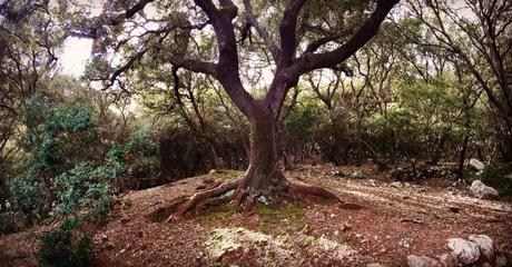 Bienvenida al otoño: salida grupal Bienvenida al otoño: salida grupal