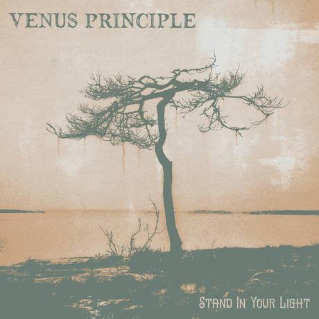 Venus Principle - Stand in Your Light (2022) Venus Principle - Stand in Your Light (2022)