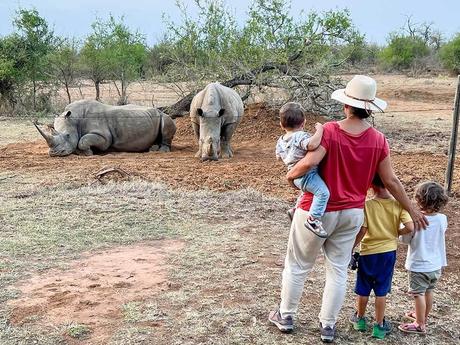Viendo rinocerontes con niños en Hlane  National Park, en Esuatini, durante un viaje en familia a Sudáfrica