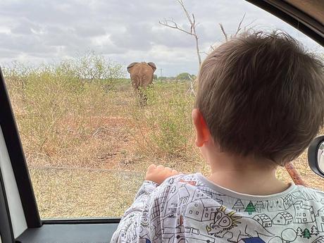 En Kruger con un bebé viendo un elefante desde el coche